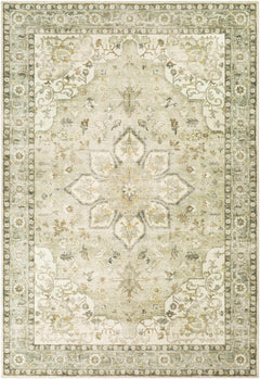 Crondall Sage Traditional Area Rug - Ornate Home