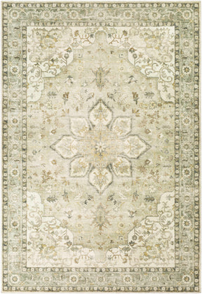 Crondall Sage Traditional Area Rug - Ornate Home