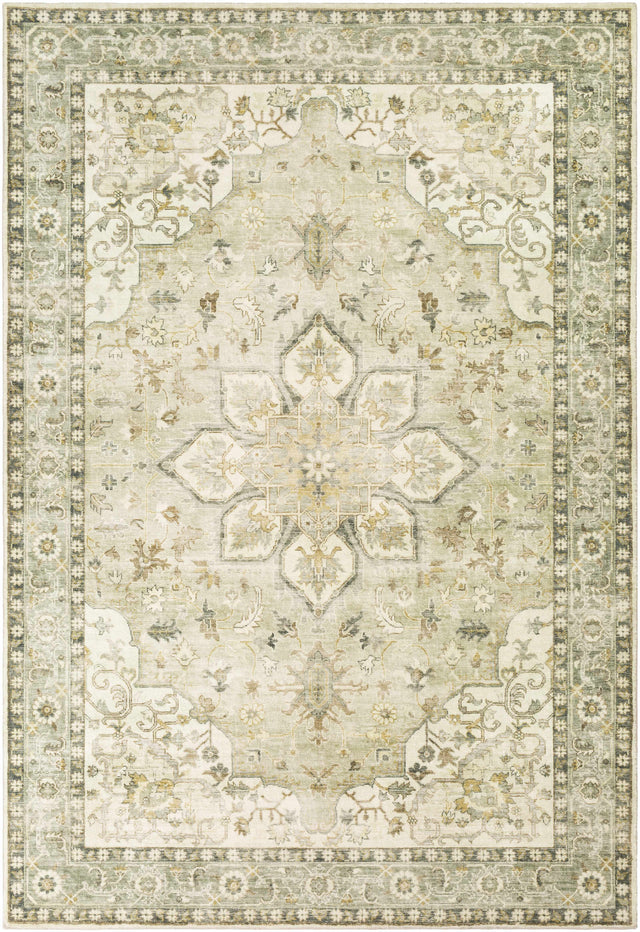 Crondall Sage Traditional Area Rug - Ornate Home