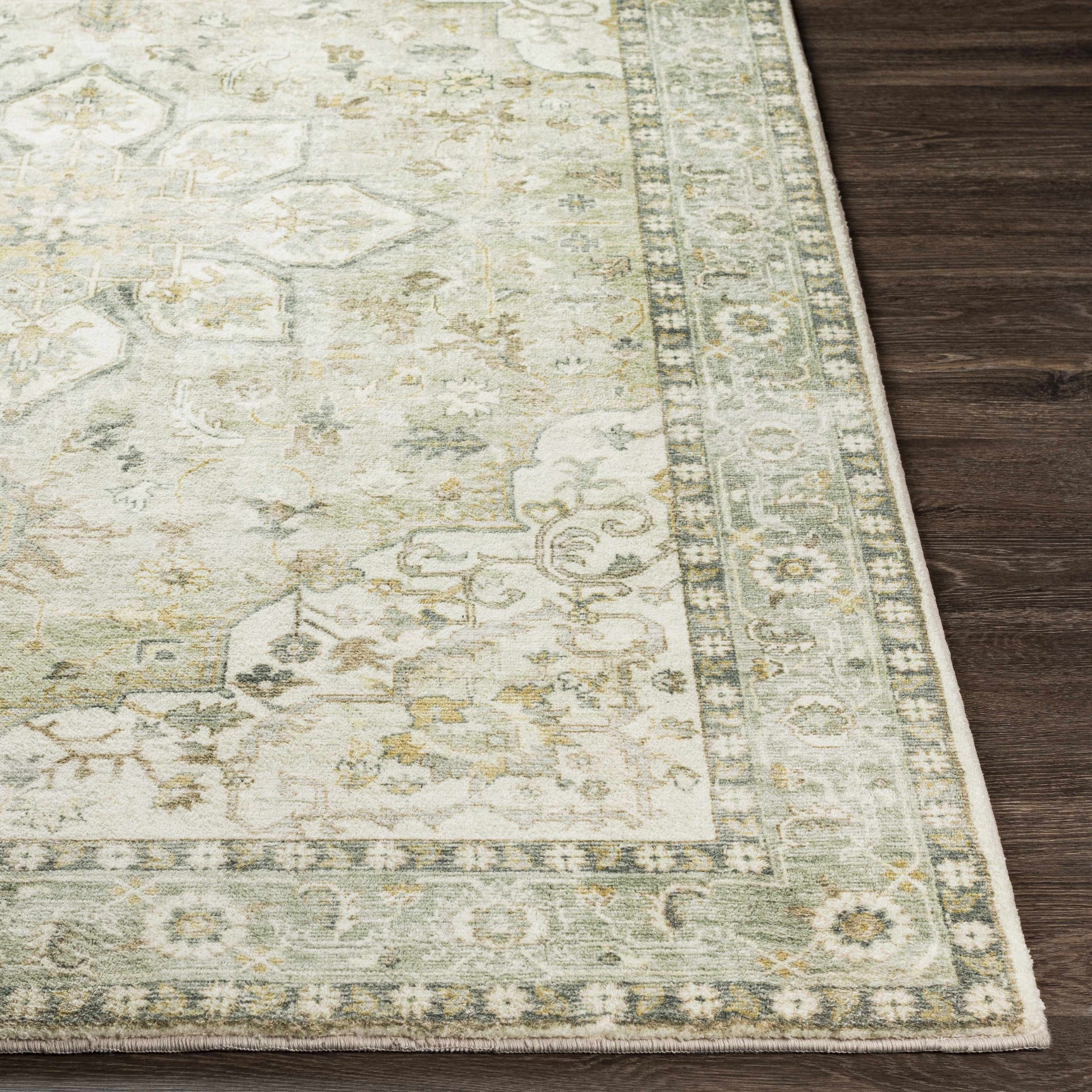 Crondall Sage Traditional Area Rug - Ornate Home
