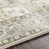 Crondall Sage Traditional Area Rug - Ornate Home