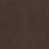 Crossplex Smoke Power Reclining Sofa with ADJ Headrest - Ornate Home