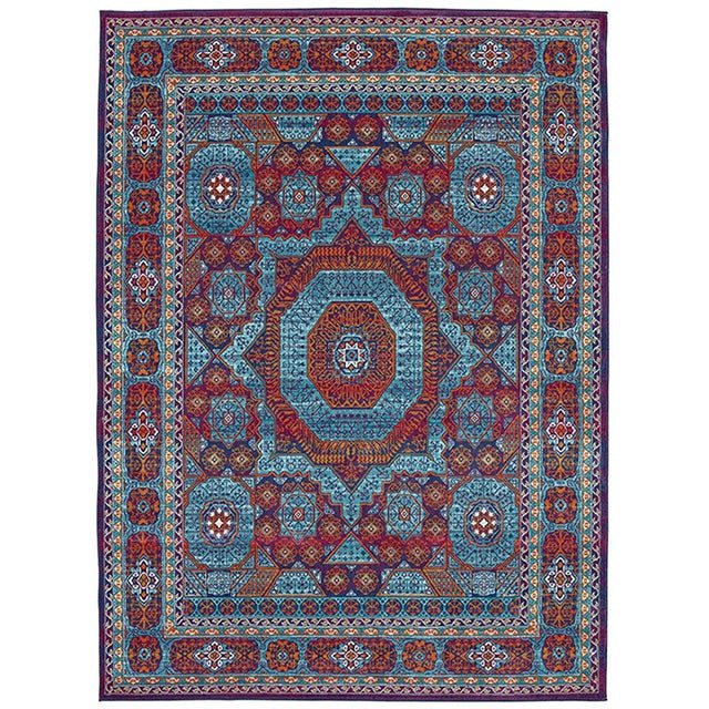 Crumlin Medallion Multi Small Area Rug - Ornate Home