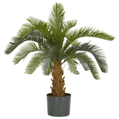 Cycas Silk Plant - Ornate Home