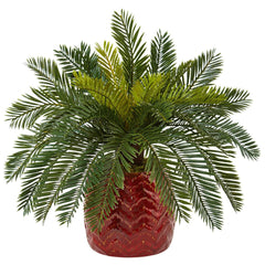 Cycas in Red Ceramic Planter - Ornate Home