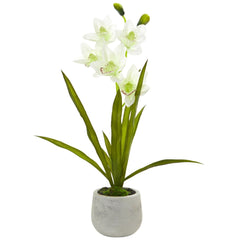Cymbidium Orchid Artificial Arrangement in Vase - Ornate Home