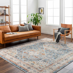 Cyndi Area Rug - Clearance - Ornate Home