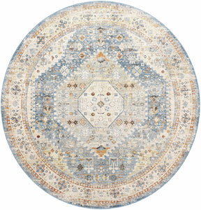 Cyndi Area Rug - Clearance - Ornate Home