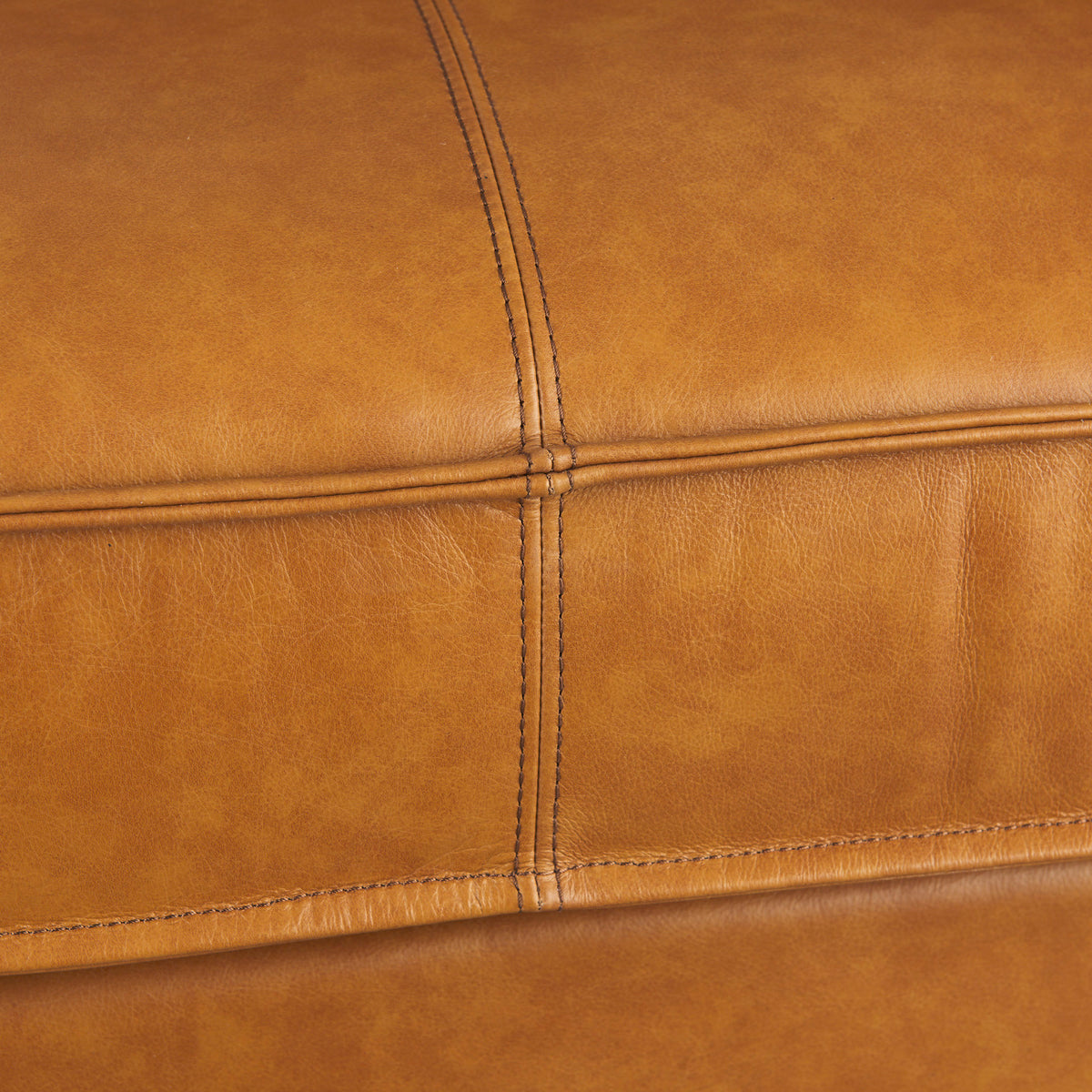 D'Arcy Tan Leather Loveseat - Ornate Home
