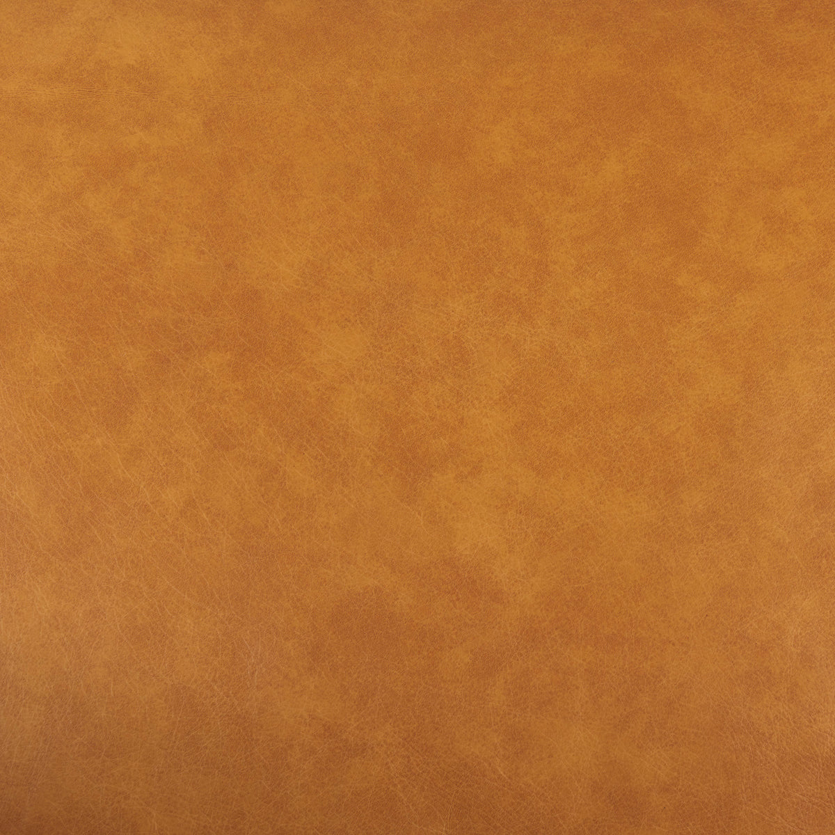 D'Arcy Tan Leather Loveseat - Ornate Home