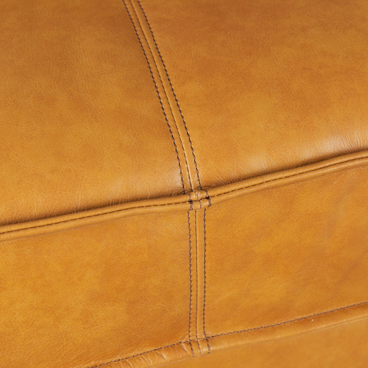 D'Arcy Tan Leather Sofa - Ornate Home