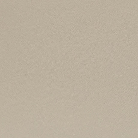 Dahlmoore Almond Power Reclining Sofa and Loveseat - Ornate Home