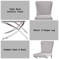 Daire Neutral Velvet/Chrome Side Chair (Set of 2) - Ornate Home