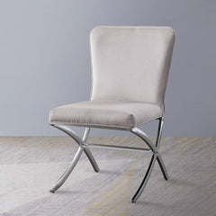 Daire Neutral Velvet/Chrome Side Chair (Set of 2) - Ornate Home