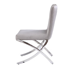 Daire Neutral Velvet/Chrome Side Chair (Set of 2) - Ornate Home
