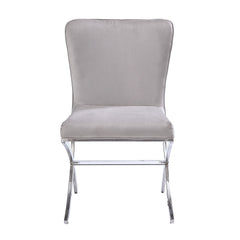 Daire Neutral Velvet/Chrome Side Chair (Set of 2) - Ornate Home