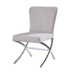Daire Neutral Velvet/Chrome Side Chair (Set of 2) - Ornate Home