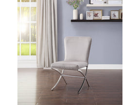 Daire Neutral Velvet/Chrome Side Chair (Set of 2) - Ornate Home