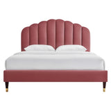Daisy Dusty Rose Performance Velvet Queen Platform Bed - Ornate Home