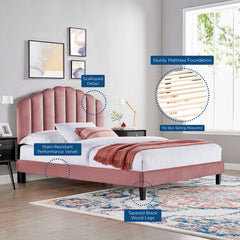 Daisy Dusty Rose Tapered Wood Leg Performance Velvet Queen Platform Bed - Ornate Home