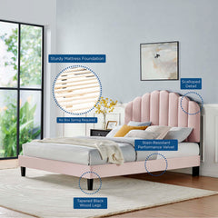 Daisy Pink Performance Velvet Full Platform Bed - Ornate Home
