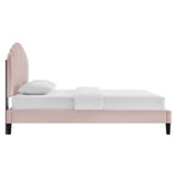 Daisy Pink Performance Velvet Twin Platform Bed - Ornate Home