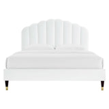 Daisy White Performance Velvet Queen Platform Bed - Ornate Home