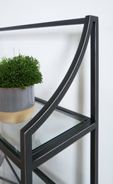 Dakerwell Antique Black Bookcase (Online Special Price) - Ornate Home