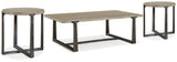 Dalenville Gray Coffee Table and 2 End Tables (Online Special Price) - Ornate Home