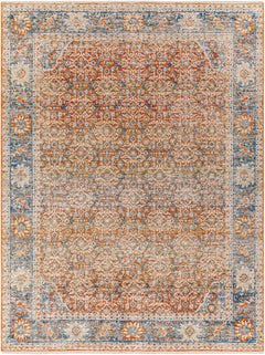 Dalit Area Rug - Clearance - Ornate Home
