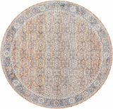 Dalit Area Rug - Clearance - Ornate Home