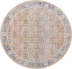 Dalit Area Rug - Clearance - Ornate Home
