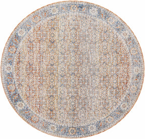 Dalit Area Rug - Clearance - Ornate Home
