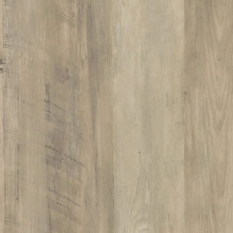 Dalton White Bookcase - Ornate Home