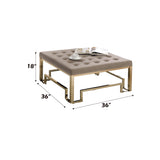 Damien Fabric & Champagne Cocktail Ottoman - Ornate Home