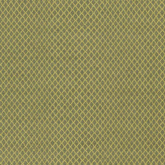 Dana Area Rug - Clearance - Ornate Home
