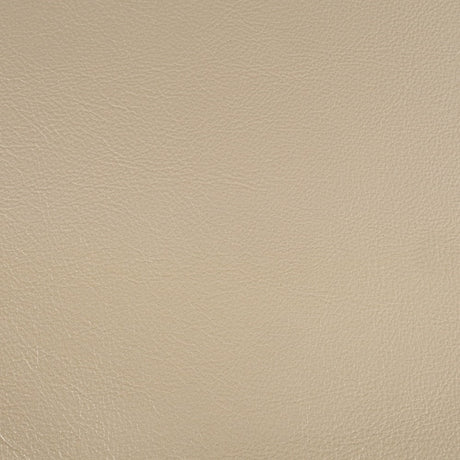 Danae Arm Chair (Set-2) - Ornate Home