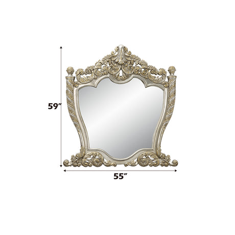 Danae Champagne Mirror - Ornate Home