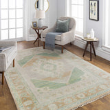Danao Premium Rug - Clearance - Ornate Home
