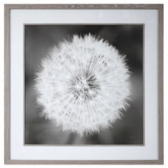 Dandelion Seedhead Black/White Framed Print - Ornate Home