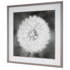 Dandelion Seedhead Black/White Framed Print - Ornate Home