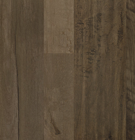 Danio Brown Tv Stand - Ornate Home