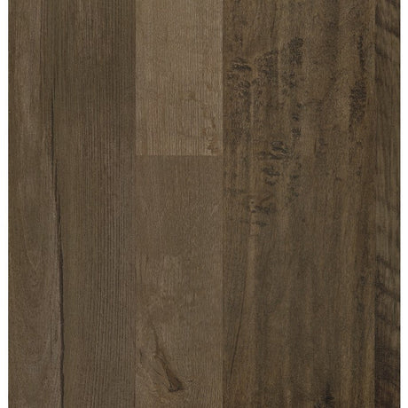 Danio Brown Tv Stand - Ornate Home