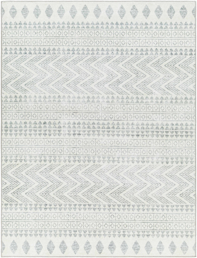 Danon Washable Area Rug - Clearance - Ornate Home