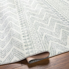 Danon Washable Area Rug - Clearance - Ornate Home