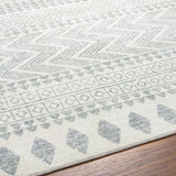 Danon Washable Area Rug - Clearance - Ornate Home