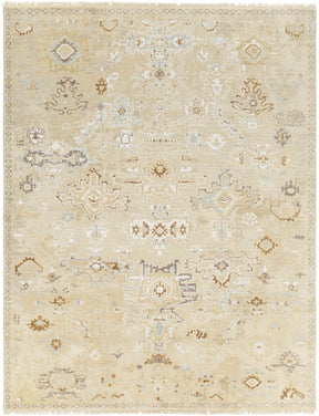 Danyl Area Rug - Clearance - Ornate Home
