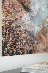 Darinby Gray/Brown/White Wall Art - Ornate Home