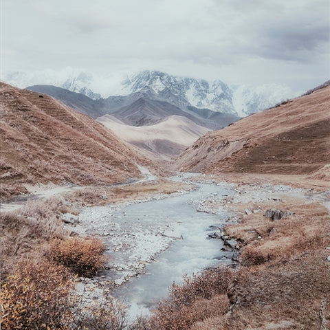 Darinby Gray/Brown/White Wall Art - Ornate Home