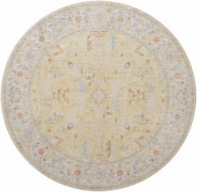 Dario Thick Luxe Area Rug - Clearance - Ornate Home